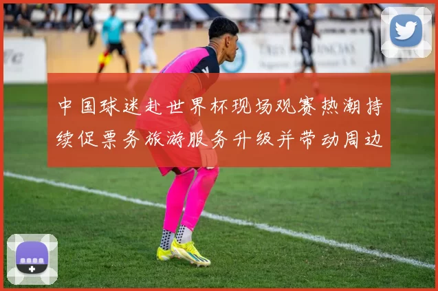 中国球迷赴世界杯现场观赛热潮持续促票务旅游服务升级并带动周边消费